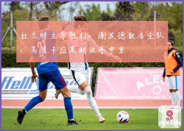 杜兰特主导胜利，谢泼德激活全队，乌度卡应果断放手申京